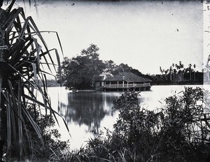 view Annam, Cochin China [Vietnam]. Photograph, 1981, from a negative by John Thomson, 1867.