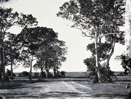 Cochin China [Vietnam]. Photograph, 1981, from a negative by John Thomson, 1867.