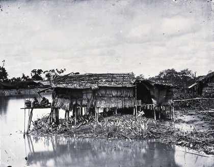 Annam, Cochin China [Vietnam]. Photograph by John Thomson, 1867.