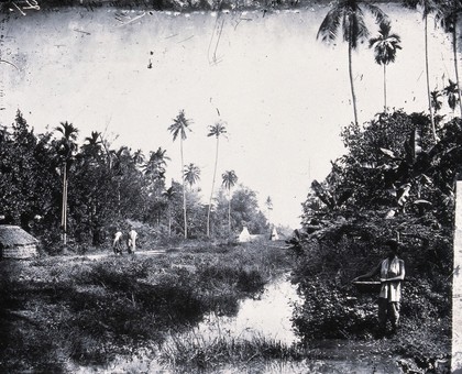 Bangkok, Siam [Thailand]. Photograph, 1981, from a negative by John Thomson, 1866.