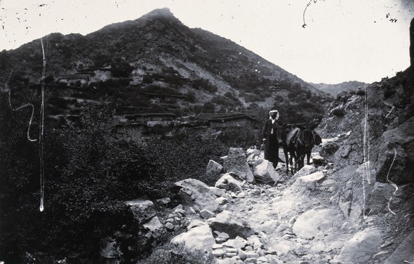 Cyprus. Photograph, 1981, from a negative by John Thomson, 1878.