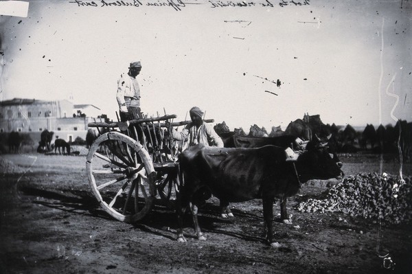 Cyprus. Photograph, 1981, from a negative by John Thomson, 1878.