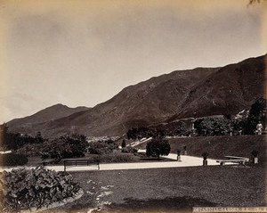 view Hong Kong: Botanical Gardens, looking east from the lowest terrace. Photograph by W.P. Floyd, ca. 1873.