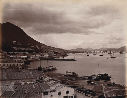 Hong Kong: docks and harbour from the cliffs. Photograph by W.P. Floyd, ca. 1873.