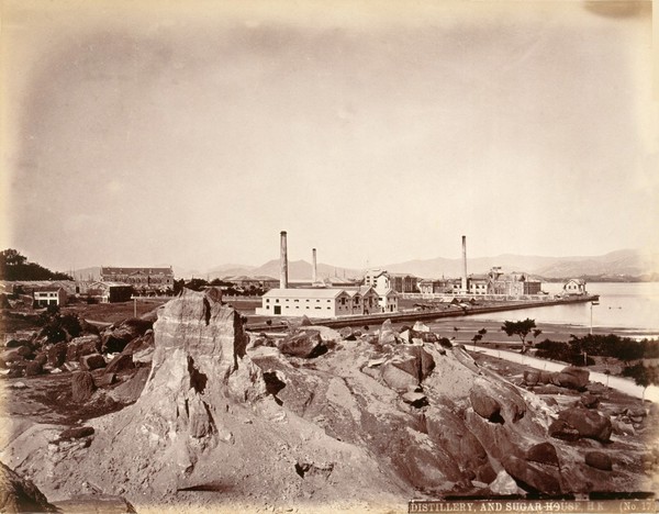 Hong Kong: distillery and china sugar refinery at East Point, c. 1871. Photograph by W.P. Floyd, ca. 1873.