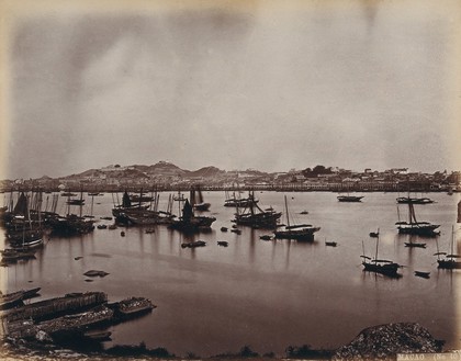 Macao Island: the Inner Harbour and adjacent Macao City, from the Island of Patera. Photograph by W.P. Floyd, ca. 1873.