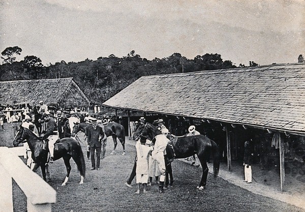 Kuching, Sarawak: horses being mounted in the racecourse paddock. Photograph.