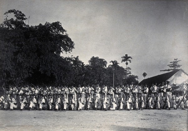 Sarawak: a line-up of armed Sarawak Rangers. Photograph.