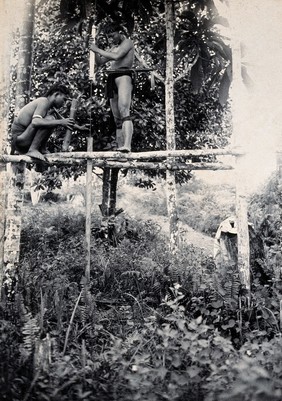 Sarawak: two Kenyah people boring a blowpipe. Photograph.