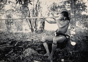 view Sarawak: a Kenyah worker testing the bore of a blowpipe. Photograph.