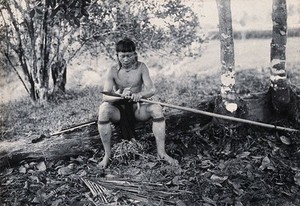 view Sarawak: a Kenyah worker tying a spearhead to a blowpipe. Photograph.