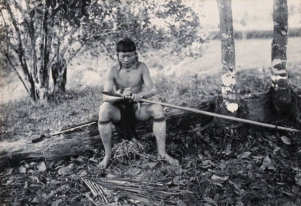 Sarawak: a Kenyah worker tying a spearhead to a blowpipe. Photograph.