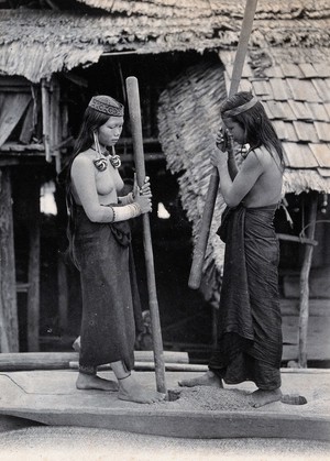 view Sarawak: two Kenyah women husking rice. Photograph.
