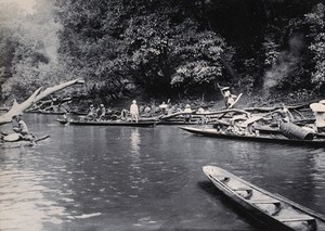 view Sarawak: a Malaysian tribe fishing on the Baram River. Photograph.