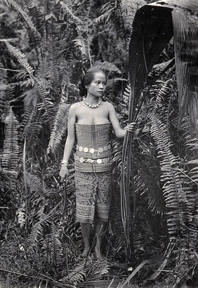 Sarawak: a girl picking leaves for use as fibres. Photograph.