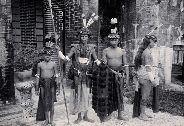 Sarawak: Sea Dayaks with weapons and head-dresses. Photograph.