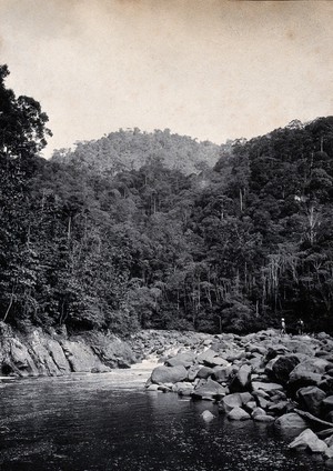 view Sarawak: falls on the Baram River. Photograph.