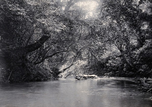 Sarawak: the Dapoi River. Photograph.