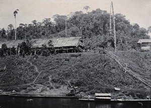 view Sarawak: a tribal village by the Tinjar River. Photograph.