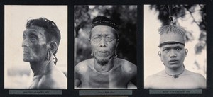 view Sarawak: two tribal chiefs and a Kenyah man. Photograph.