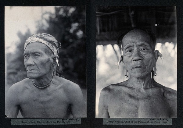 Sarawak: two tribal chiefs. Photograph.