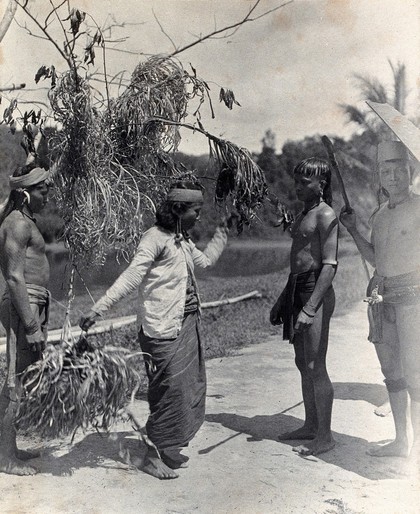 Sarawak: a Kayan woman dancing with the head of an enemy. Photograph.