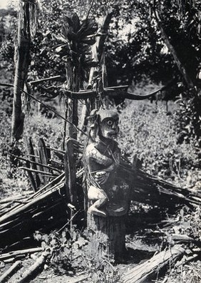 Sarawak: a wooden carving of Bali Atap, a Tutelary deity. Photograph.