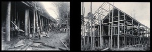 view Sarawak: the supporting poles of a Kayan tribal house and a Sea Dayak house under construction. Photograph.