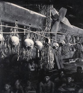 Sarawak: decorated human skulls hanging in a Kayan house. Photograph.