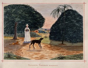 view Singapore: a person with dogs in the Botanical Gardens. Watercolour by J. Taylor, 1879.