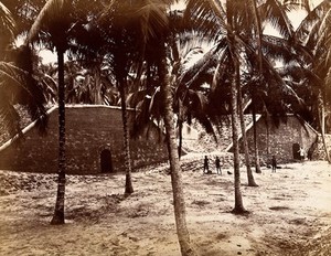 view Singapore: a fort at Tanjong Katong. Photograph by J. Taylor, 1880.