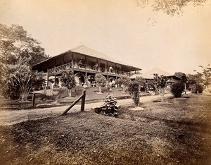 view Singapore: a large bungalow for British officers with tropical plants in the garden. Photograph by J. Taylor, 1880.