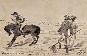 view Singapore: a stubborn horse at the start of Singapore racecourse. Pen and ink drawing by J. Taylor, 1881.