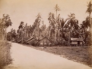 view Malaya: houses of inhabitants on Penang Island. Photograph by J. Taylor, 1881.