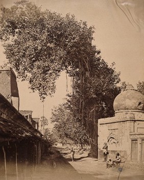 India: "on the banks of the canal near the Cabul Gate". Photograph by F. Beato, c. 1858.