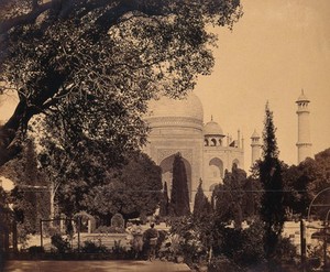 view The Taj Mahal, Agra, India; gardens in the foreground. Photograph by Felice Beato, ca. 1858.