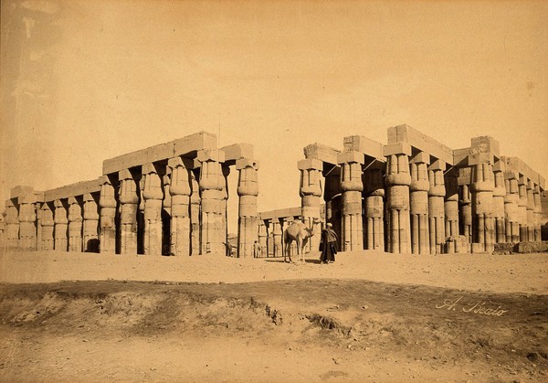Egypt (Luxor?): a colonnade; a man with a camel in the foreground. Photograph by A. Beato, ca. 1870.