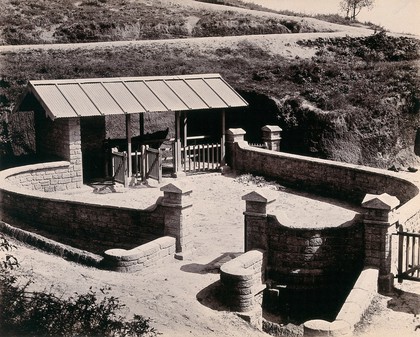 Imperial Bacteriological Laboratory, Muktesar, Punjab, India: the enclosure for branding and weighing cattle. Photograph, 1897.