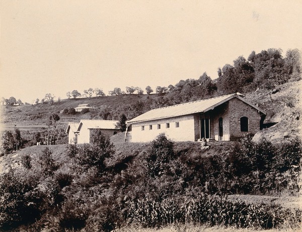 Imperial Bacteriological Laboratory, Muktesar, Punjab, India: cattle sheds in the foreground; stables in the background. Photograph, 1897.