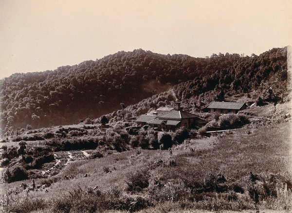 Imperial Bacteriological Laboratory, Muktesar, Punjab, India: the Assistant Bacteriologist's residence, set on a hillside. Photograph, 1897.