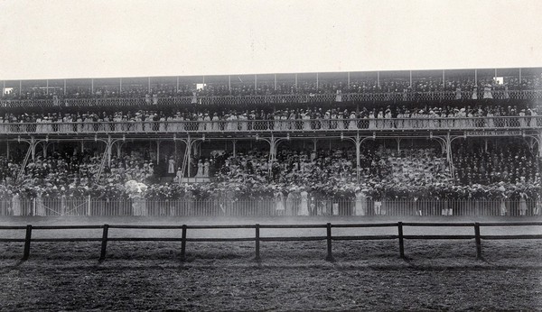 Calcutta, India: the Calcutta Races: spectators in the Grand Stand on the Prince of Wales' Cup day, 1906. Photograph, 1906.