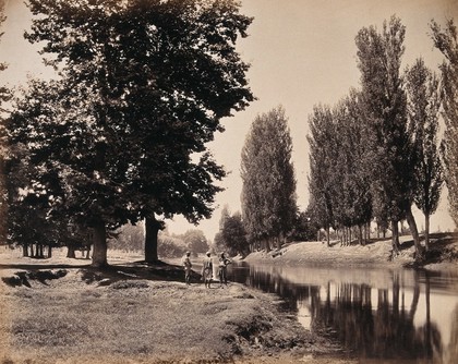 Kashmir: trees and onlookers by the Dhul canal. Photograph by Samuel Bourne.