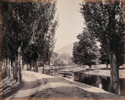 Kashmir: a tree-lined path by a canal. Photograph by Samuel Bourne.