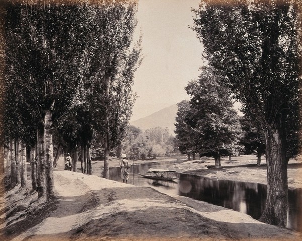 Kashmir: a tree-lined path by a canal. Photograph by Samuel Bourne.