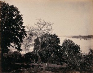 view Kashmir: a clearing in a wood with a river beyond. Photograph by Samuel Bourne.