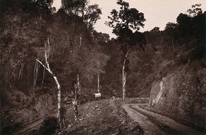 view Barrington's Mountain Pass, South Africa: a road with a wagon. Woodburytype, 1888, after a photograph by Robert Harris.