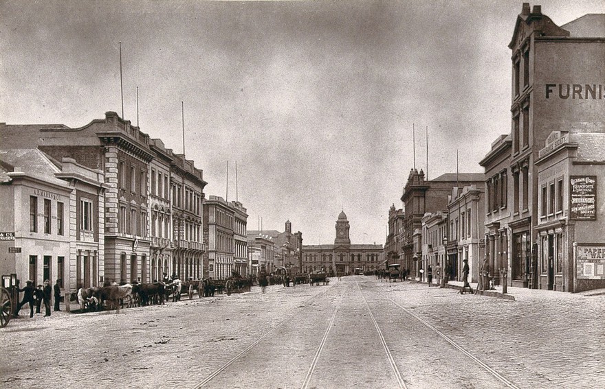 Port Elizabeth, South Africa: Main Street. Woodburytype, 1888, after a photograph by Robert Harris.