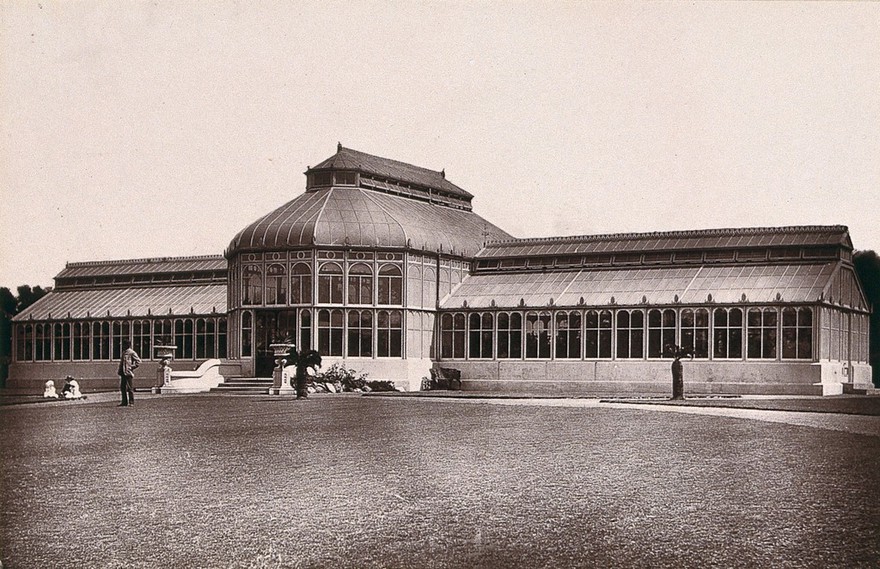 Port Elizabeth, South Africa: conservatory at St Georges's Park. Woodburytype, 1888, after a photograph by Robert Harris.