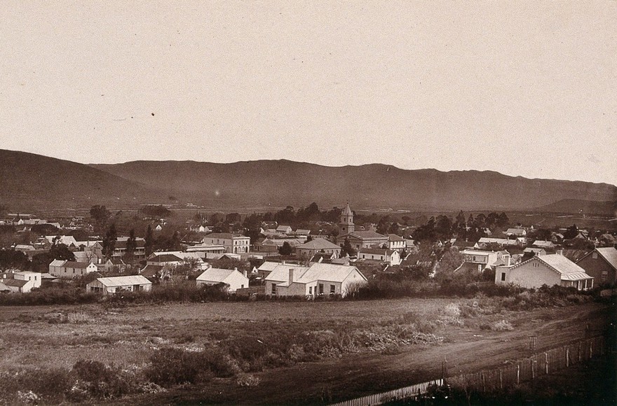 Uitenhage, South Africa: part of the town. Woodburytype, 1888, after a photograph by Robert Harris.