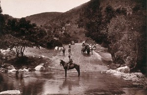view Van Staaden's Pass, South Africa: a river crossing on the Cape Road with horses and wagon. Woodburytype, 1888, after a photograph by Robert Harris.